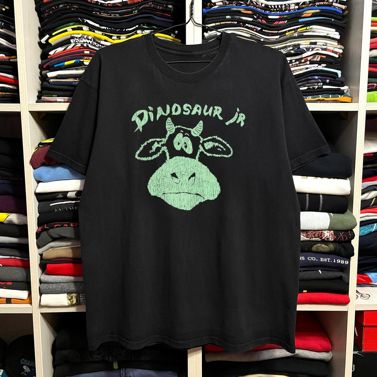Rare Dinosaur Jr. Washed Black Tee