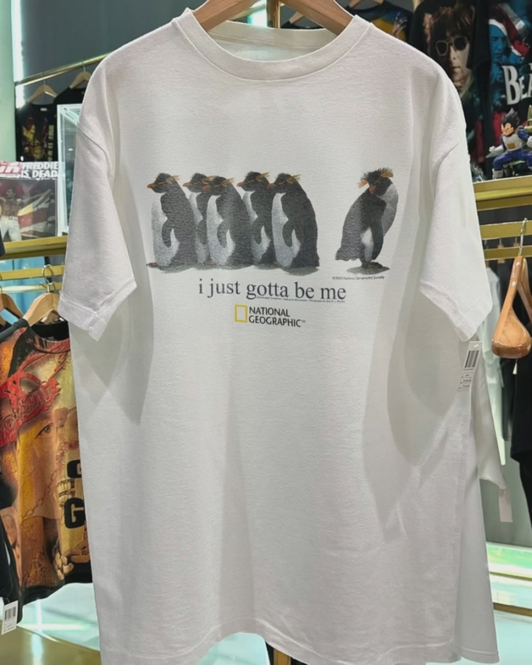 2001 'I Just Gotta Be Me' Rockhopper Nat Geo Rare Washed White T-Shirt product video [GB-DPA:c8f3b4194d16]